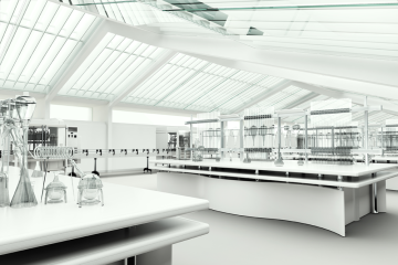 Create a Comfortable and Productive Workspace with Commercial Window Films
