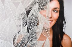 Dekorativní fólie SX-3142 Transparent LEAF 59 (vzorek)