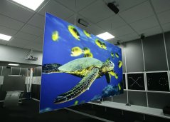 SX-0423 REAR Projection FILM (sample)
